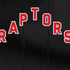 NBA Toronto Raptors Jersey Nintendo 2DS XL (2017) Skin